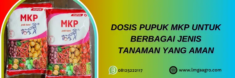 harga mkp pak tani, harga mkp pak tani 1kg, harga pupuk mkp 1kg, harga pupuk mkp pak tani, Lmga Agro