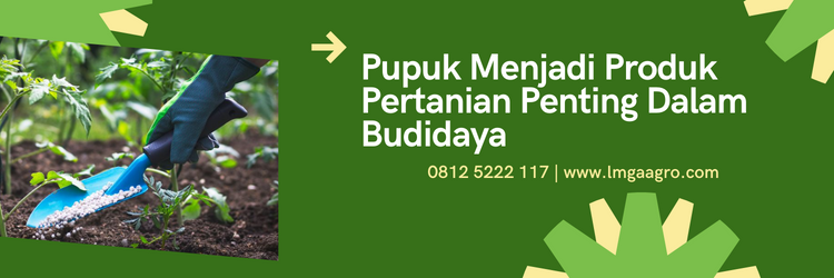 Jenis-jenis pupuk, waktu yang tepat pemberian pupu NPK, pupuk tanaman, budidaya tanaman, pupuk majemuk, lmga agro