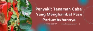 orondis opti, bahan aktif orondis opti, manfaat fungisida orondis opti, fungisida orondis, Lmga Agro
