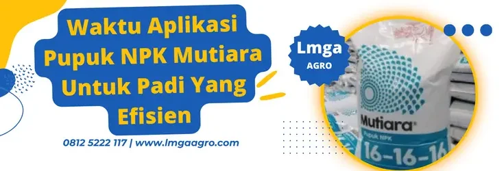 Jenis-jenis pupuk, npk, penanaman padi, waktu aplikasi pupuk npk mutiara untuk padi , unsur npk, Lmga Agro