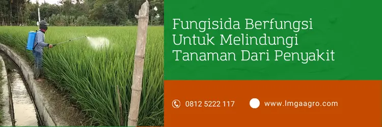 cabrio, bahan aktif cabrio, harga fungisida cabrio, harga cabrio, Lmga Agro