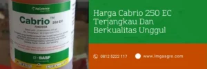 cabrio, bahan aktif cabrio, harga fungisida cabrio, harga cabrio, Lmga Agro