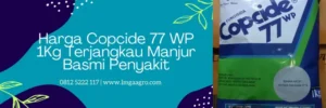 harga fungisida copcide 77 wp, copcide 77 wp, manfaat fungisida copcide 77 wp, kegunaan fungisida copcide, Lmga Agro