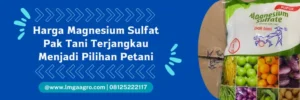 magnesium sulfat pak tani, magnesium sulfat, fungsi magnesium sulfat pak tani, kandungan magnesium sulfat pak tani, Lmga Agro