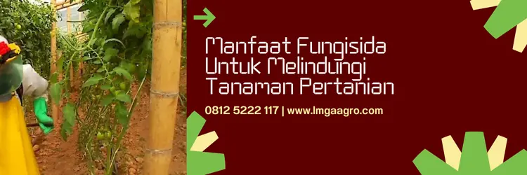 acrobat fungisida, harga fungisida acrobat, harga fungisida acrobat 50 wp, manfaat fungisida acrobat, Lmga Agro