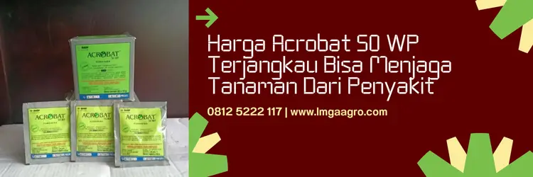 acrobat fungisida, harga fungisida acrobat, harga fungisida acrobat 50 wp, manfaat fungisida acrobat, Lmga Agro