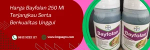 pupuk daun bayfolan, bayfolan bayer, harga pupuk daun bayfolan, harga pupuk bayfolan, Lmga Agro