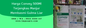 convey herbisida, harga convey herbisida jagung, harga herbisida convey, harga convey, Lmga Agro