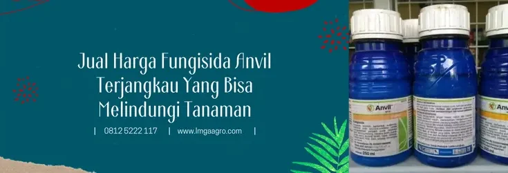 anvil fungisida, fungsi anvil, harga anvil, fungisida syngenta, Lmga Agro