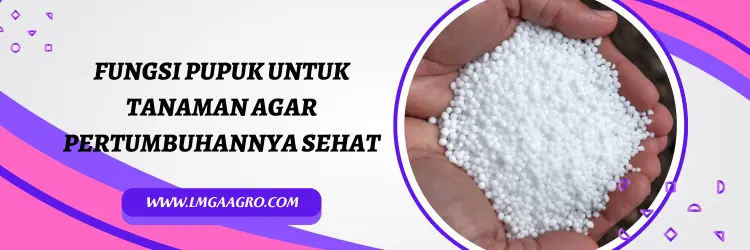 kno3 putih, harga kno3 putih, harga pupuk kno3 putih, harga pupuk kno3, Lmga Agro