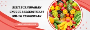 Tanaman buah, budidaya, jual bibit buah, bibit buah buahan unggul bersertifikat, pohon buah, Lmga Agro