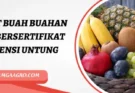 Tanaman buah, budidaya, jual bibit buah, bibit buah buahan unggul bersertifikat, pohon buah, Lmga Agro