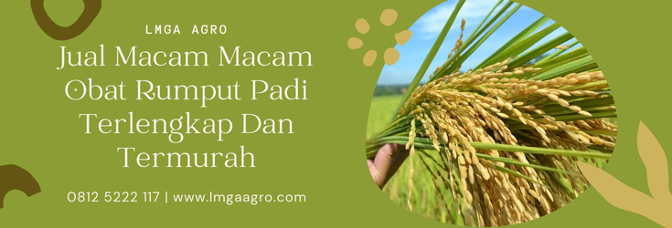 Macam macam obat rumput padi, tanaman gulma, herbisida padi paling ampuh, jenis herbisida, fungsi herbisida, Lmga Agro