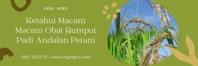 Jual Herbisida Harga Terjangkau Dan Berkualitas | Lmga Agro Macam macam obat rumput padi, tanaman gulma, herbisida padi paling ampuh, jenis herbisida, fungsi herbisida, Lmga Agro