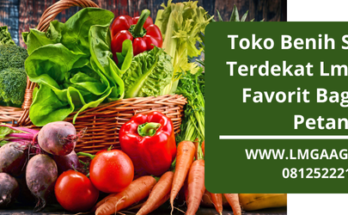 Jual bibit sayur terdekat, toko benih sayuran terdekat, toko benih terdekat, benih sayuran, benih sayur