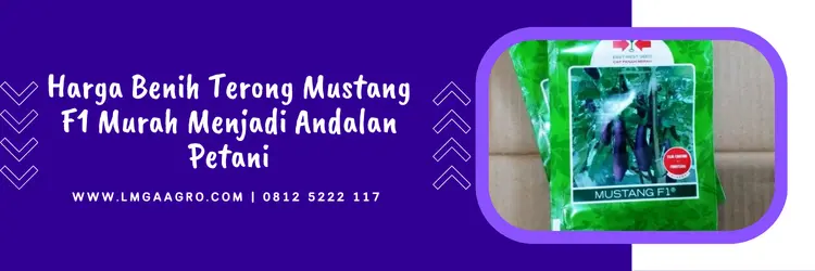 terong mustang, bibit terong mustang f1, benih terong mustang f1, benih terong mustang, Lmga Agro