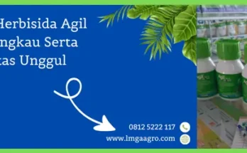 agil herbisida, agil obat rumput, harga agil 100 ml, harga agil, Lmga Agro