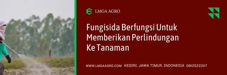 infinito fungisida, infinito bayer, harga fungisida ifninito, harga infinito, Lmga Agro