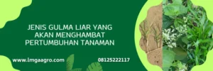 roundup, roundup herbisida, harga roundup, roundup harga, Lmga Agro