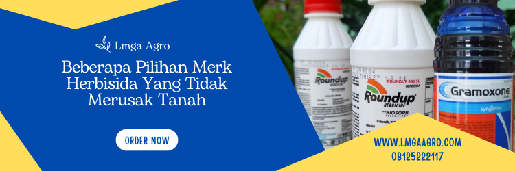 Tanaman pengganggu, tanaman gulma, herbisida yang tidak merusak tanah, jenis herbisida, fungsi herbisida, Lmga Agro