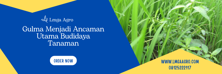Jual Herbisida Kualitas Super Unggul Harga Murah | Lmga Agro Tanaman pengganggu, tanaman gulma, herbisida yang tidak merusak tanah, jenis herbisida, fungsi herbisida, Lmga Agro