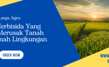 Tanaman pengganggu, tanaman gulma, herbisida yang tidak merusak tanah, jenis herbisida, fungsi herbisida, Lmga Agro