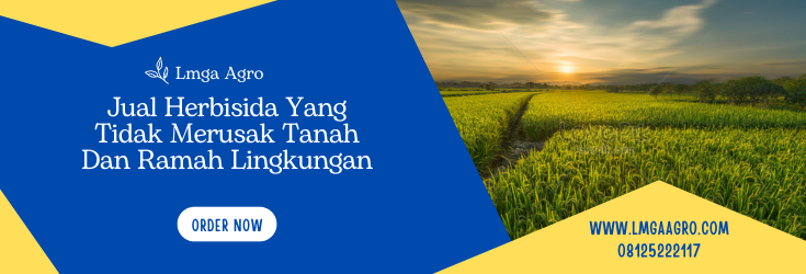 Tanaman pengganggu, tanaman gulma, herbisida yang tidak merusak tanah, jenis herbisida, fungsi herbisida, Lmga Agro