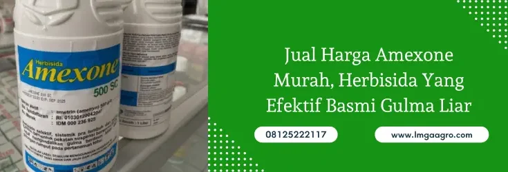 amexone, amexone herbisida, bahan aktif amexone, harga herbisida amexone, Lmga Agro