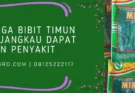 bibit timun mira f1, jarak tanam timun mira, budidaya timun mira, timun mira, Lmga Agro