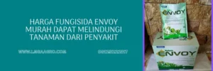 envoy fungisida, envoy, envoy nufarm, harga envoy, Lmga Agro