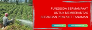 previcur, previcur fungisida, harga fungisida previcur, harga previcur, Lmga Agro