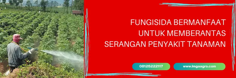 previcur, previcur fungisida, harga fungisida previcur, harga previcur, Lmga Agro