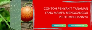 previcur, previcur fungisida, harga fungisida previcur, harga previcur, Lmga Agro