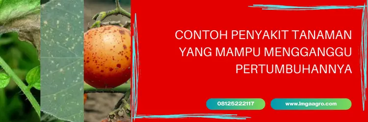 previcur, previcur fungisida, harga fungisida previcur, harga previcur, Lmga Agro