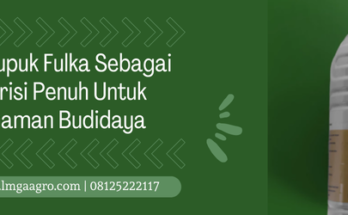 Budidaya tanaman, pupuk cair organik, pupuk fulka, pupuk organik cair adalah, pengertian pupuk organik, lmga agro