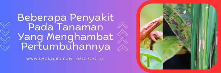 besromil, harga besromil, bahan aktif fungisida besromil, manfaat fungisida besromil, Lmga Agro