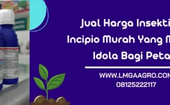 incipio insektisida, insektisida incipio 200sc harga, harga insektisida incipio 200sc, incipio syngenta, Lmga Agro