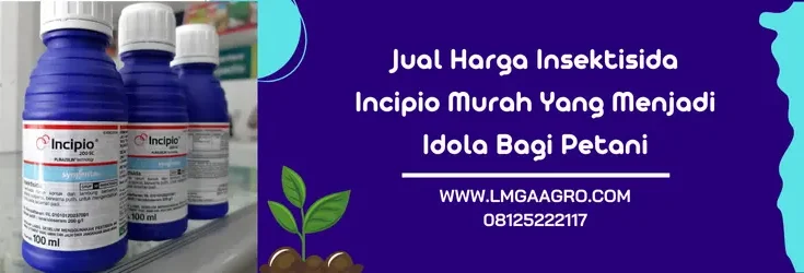 incipio insektisida, insektisida incipio 200sc harga, harga insektisida incipio 200sc, incipio syngenta, Lmga Agro