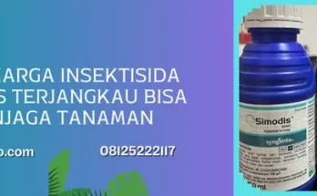 simodis insektisida, harga simodis syngenta, harga insektisida simodis syngenta, harga simodis, Lmga Agro