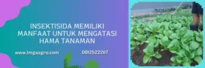 simodis insektisida, harga simodis syngenta, harga insektisida simodis syngenta, harga simodis, Lmga Agro
