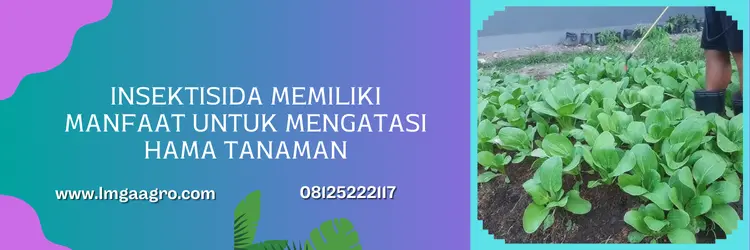 simodis insektisida, harga simodis syngenta, harga insektisida simodis syngenta, harga simodis, Lmga Agro