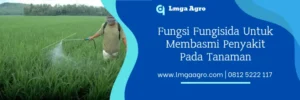 saco p, saco p fungisida, harga fungisida saco p, manfaat fungisida saco p, Lmga Agro