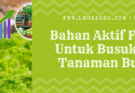 Budidaya tanaman, fungisida adalah, fungisida sistemik terbaik, bahan aktif fungisida untuk busuk batang, penyakit pada tanaman, Lmga Agro