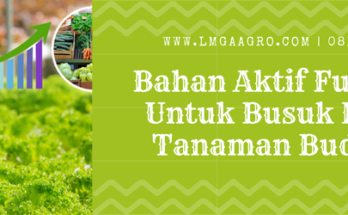 Budidaya tanaman, fungisida adalah, fungisida sistemik terbaik, bahan aktif fungisida untuk busuk batang, penyakit pada tanaman, Lmga Agro