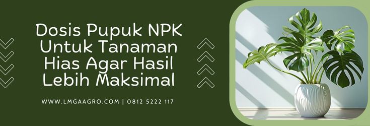 Jenis-jenis pupuk, npk, jenis jenis tanaman hias, dosis pupuk npk untuk tanaman hias, unsur npk, Lmga Agro