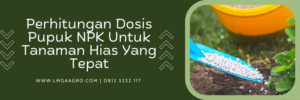 Jenis-jenis pupuk, npk, jenis jenis tanaman hias, dosis pupuk npk untuk tanaman hias, unsur npk, Lmga Agro