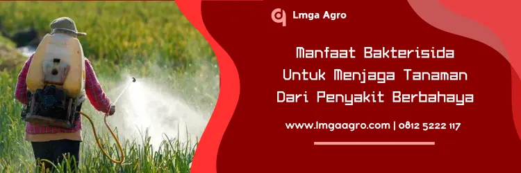 agrept bakterisida, agrept 20 wp, harga bakterisida agrept, agrept 20wp, Lmga Agro