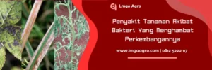 agrept bakterisida, agrept 20 wp, harga bakterisida agrept, agrept 20wp, Lmga Agro