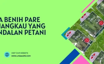 benih pare lipa, harga bibit pare lipa, bibit pare lipa, bibit pare lipa f1, Lmga Agro