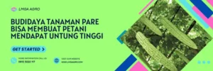 benih pare lipa, harga bibit pare lipa, bibit pare lipa, bibit pare lipa f1, Lmga Agro